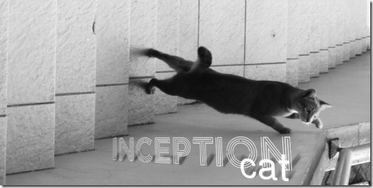Los Memes de Inception - La Cueva del Lobo